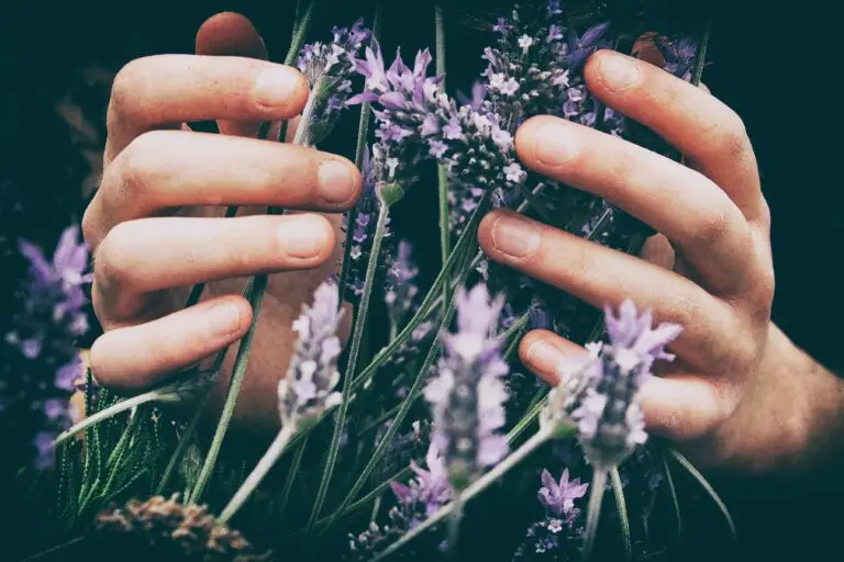 Arthritis in the hands and ring splints